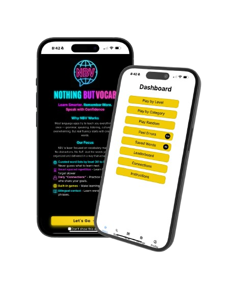 Nothing But VOcab app